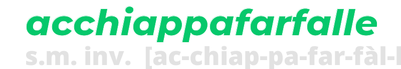 acchiappafarfalle