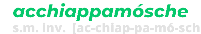 acchiappamosche