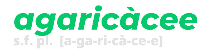 agaricacee