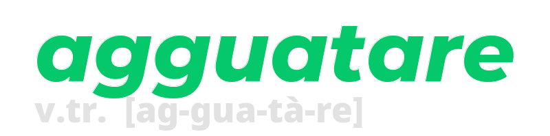 agguatare