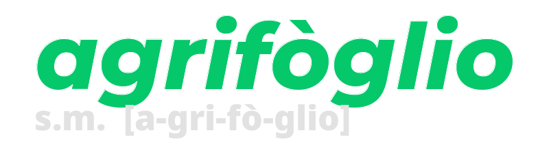 agrifoglio