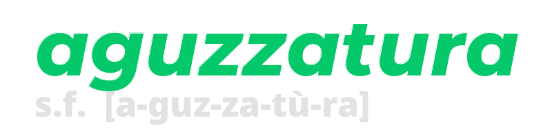 aguzzatura