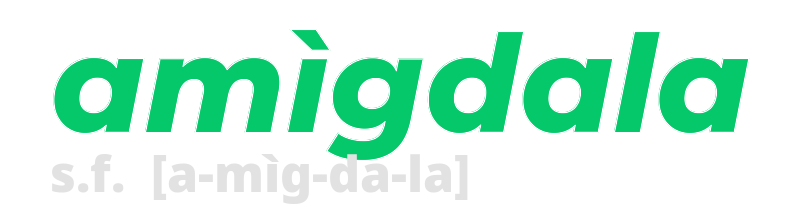 amigdala