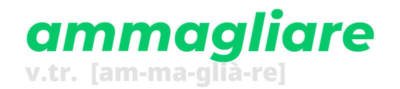 ammagliare