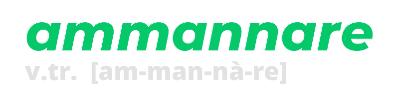 ammannare