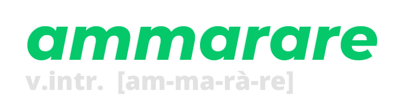 ammarare