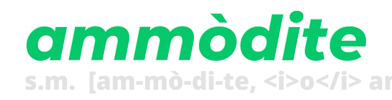 ammodite