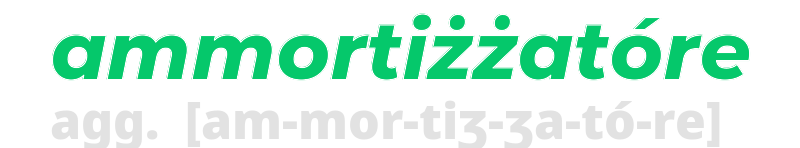 ammortizzatore