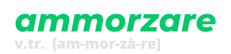 ammorzare