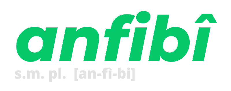 anfibi