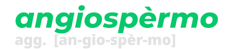 angiospermo