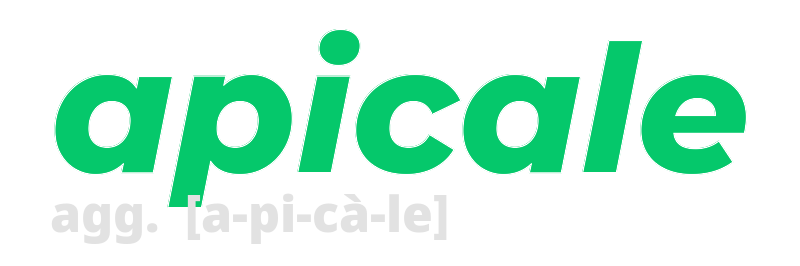 apicale