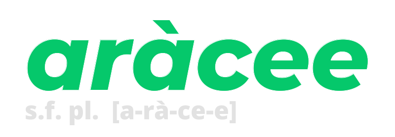 aracee