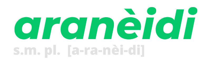 araneidi