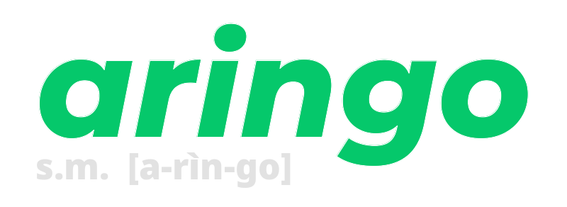 aringo