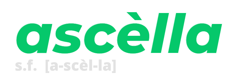 ascella