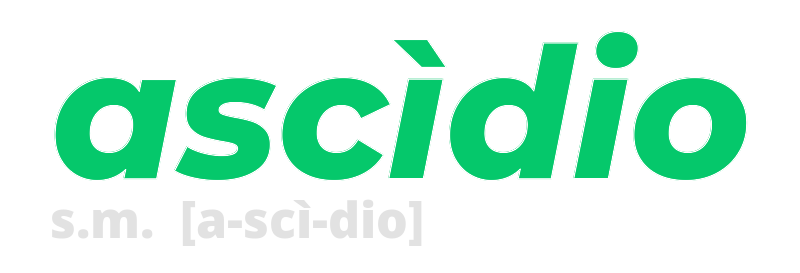 ascidio