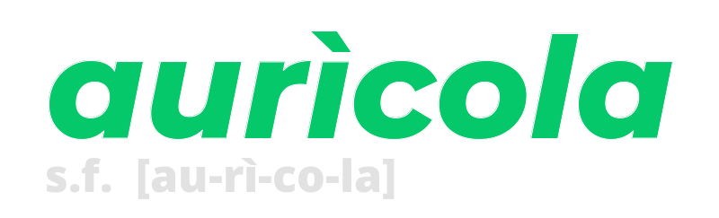 auricola