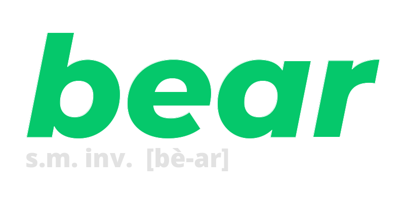 bear