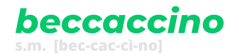 beccaccino