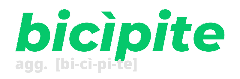 bicipite