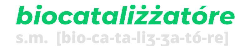 biocatalizzatore