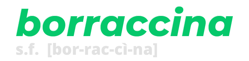 borraccina