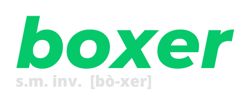 boxer