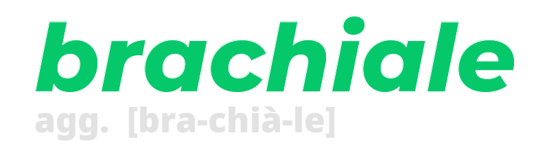 brachiale