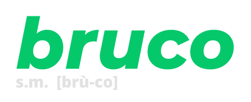 bruco