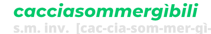 cacciasommergibili