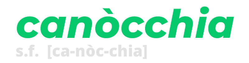 canocchia