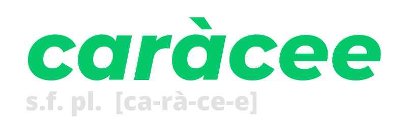 caracee