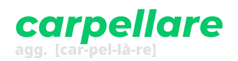 carpellare