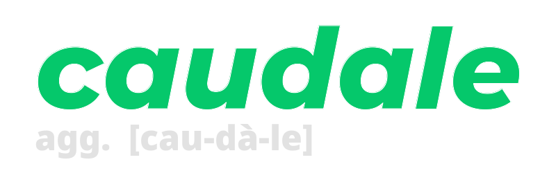 caudale