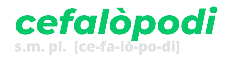 cefalopodi