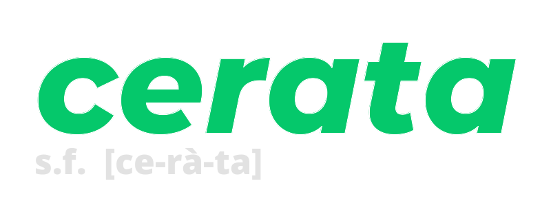 cerata