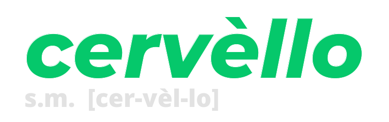 cervello