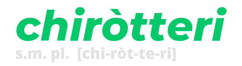 chirotteri