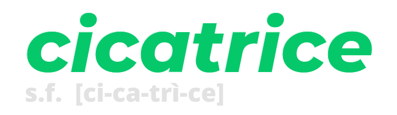 cicatrice