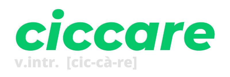 ciccare