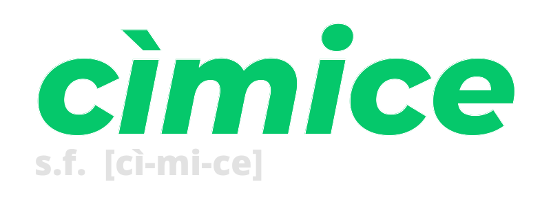 cimice