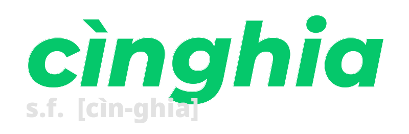 cinghia