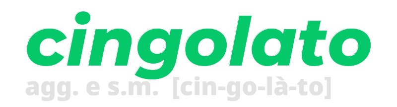 cingolato