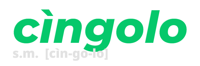 cingolo