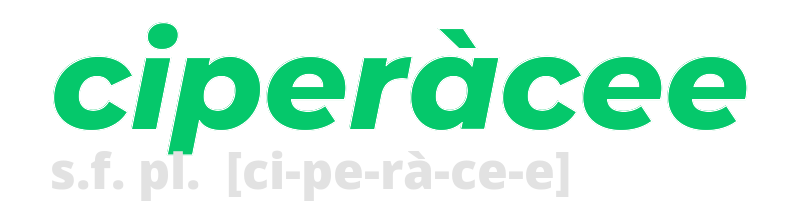 ciperacee