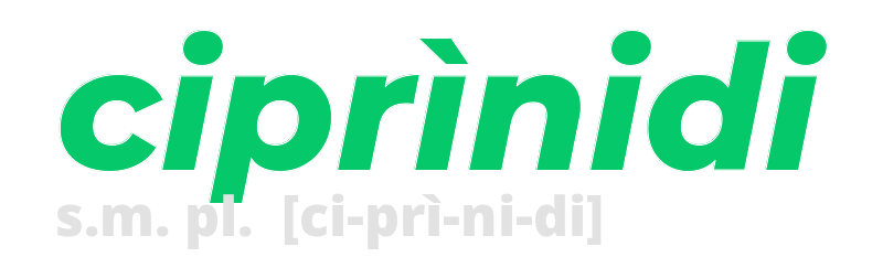 ciprinidi