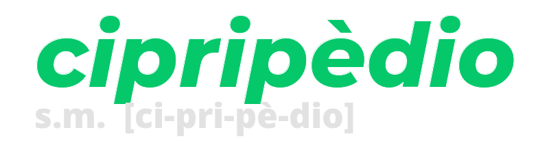 cipripedio