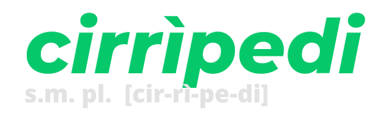 cirripedi