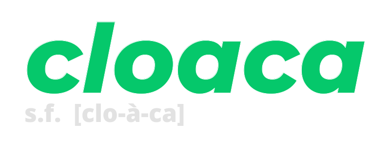 cloaca